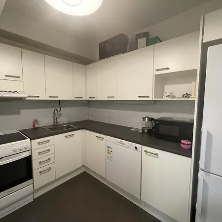 Kivimiehenkatu 4 Apartment